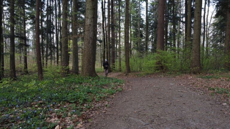 Sendeanlage am Kumma